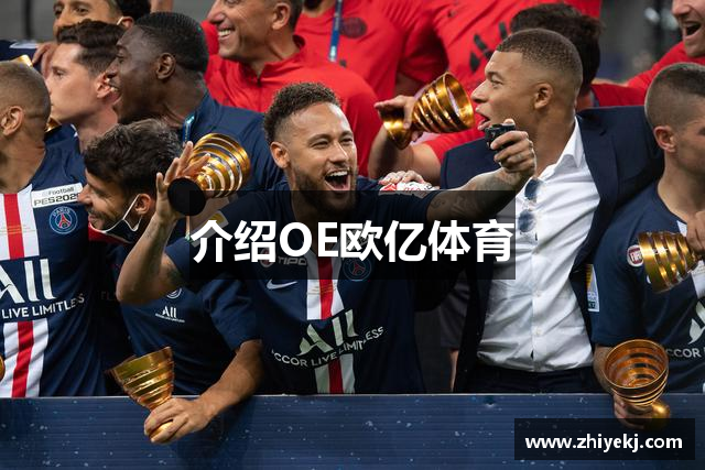 介绍OE欧亿体育